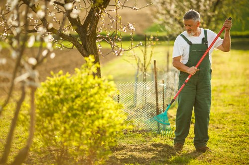 Pressure washing equipment next to a stump grinder