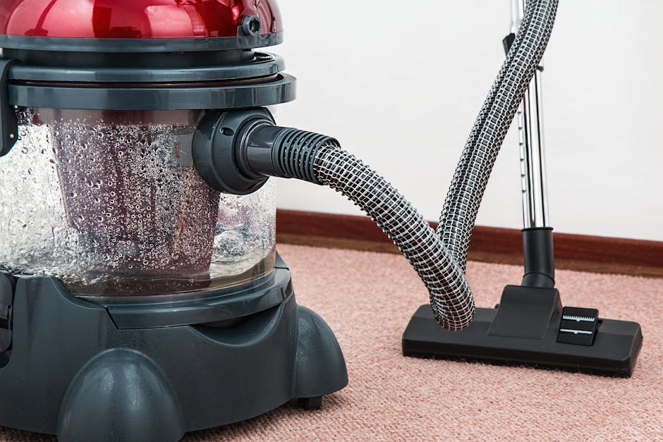 SW3 carpet cleaning costs and best local firms